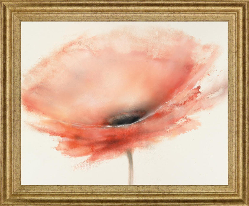 Coral Mist - 28" x 34" Framed Wall Art