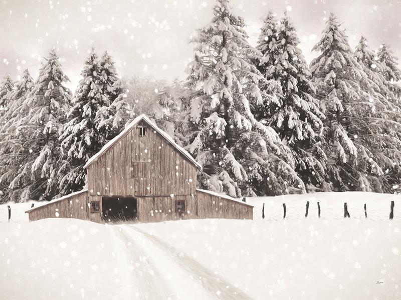 North Country By Lori Deiter (Framed Small) - White