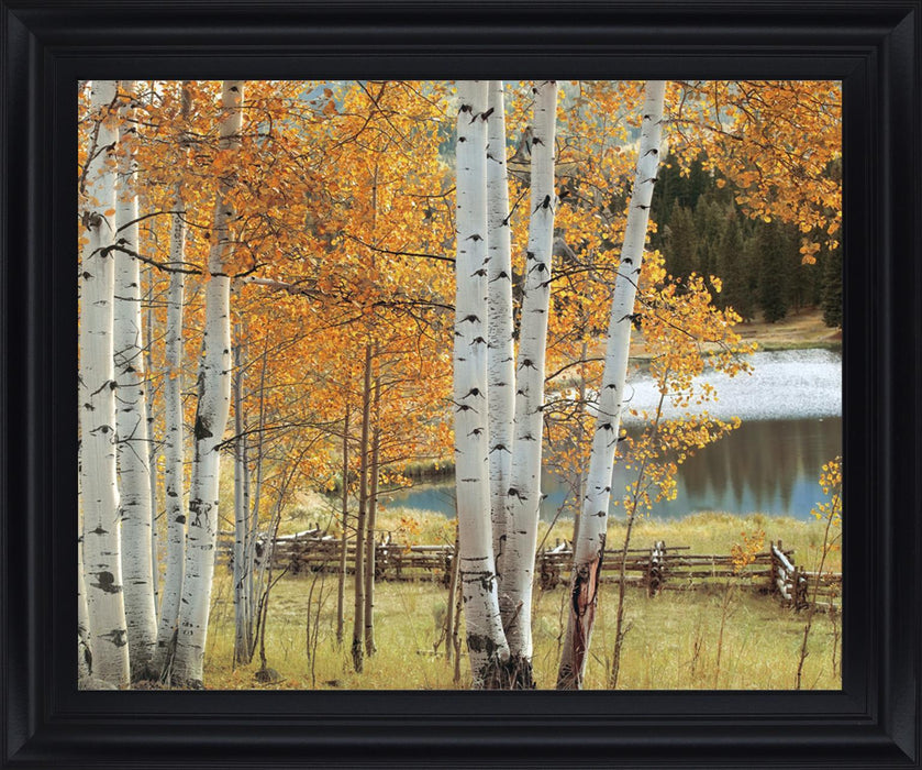 Golden Grove Serenity - 28" x 34" Framed Wall Art