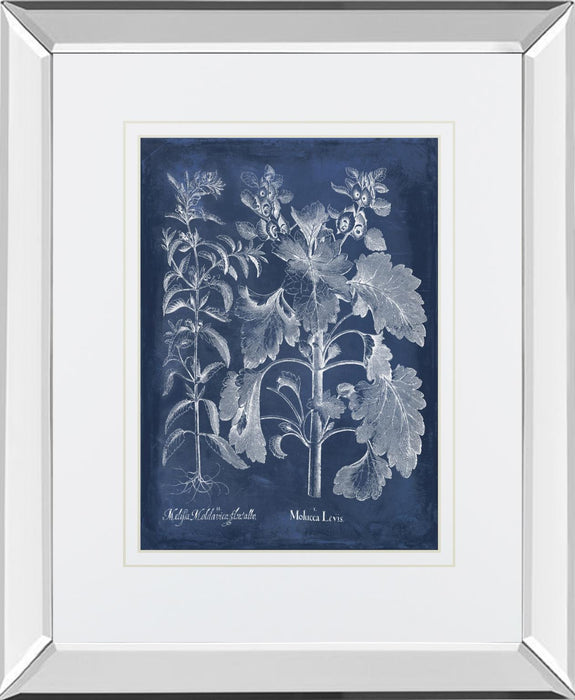Besler Leaves in Indigo I By Vision Studio - Blue