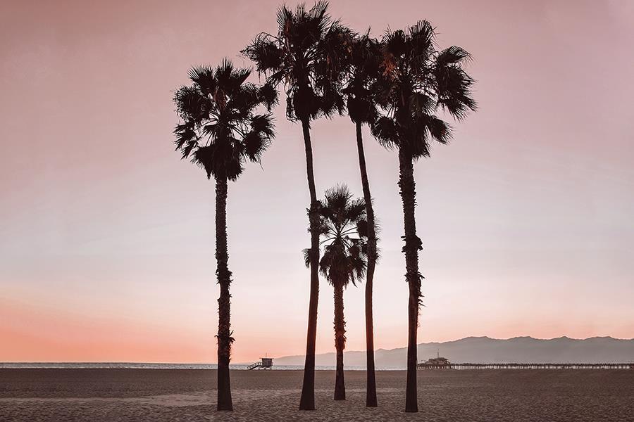 Santa Monica Pinks By Natalie Carpentieri (Framed) - Pink