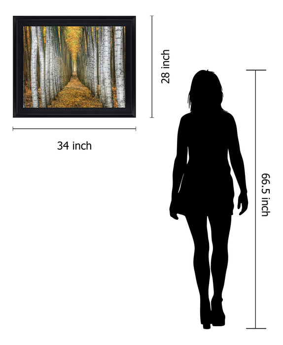 Golden Birch Passage - 28" x 34" Framed Wall Art