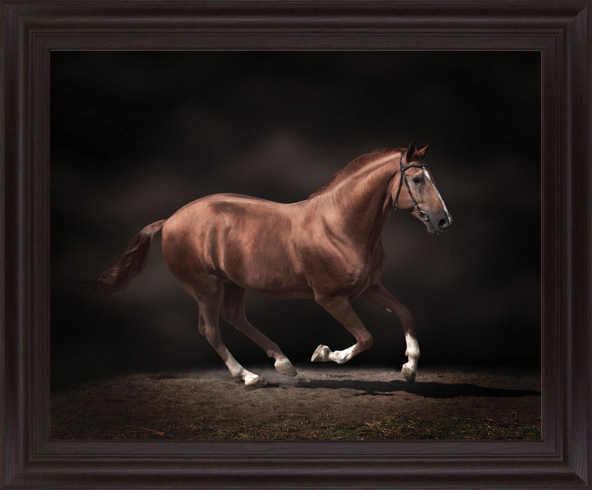 Chestnut Grace - 28" x 34" Framed Wall Art