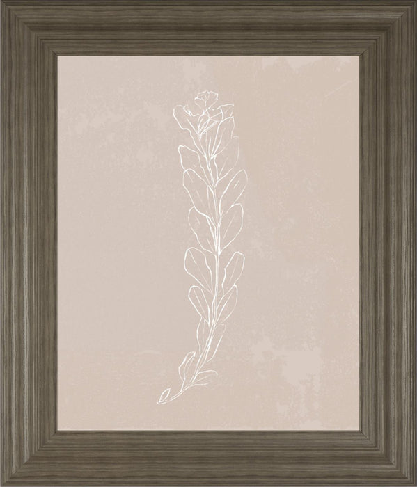 22x26 Blush Bloom II By Annie Warren - Beige