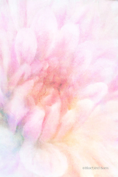 Soft Dahlia Pastel Peach By Bluebird Barn - Pink