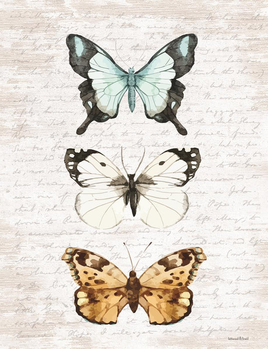 Framed - Butterfly Trio By Lettered & Lined - Gray