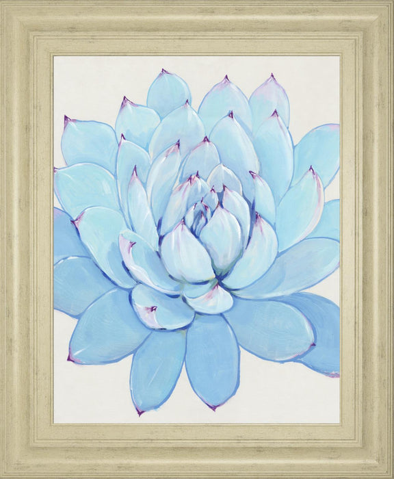 22x26 Pastel Succulent II By Tim OToole - Light Blue