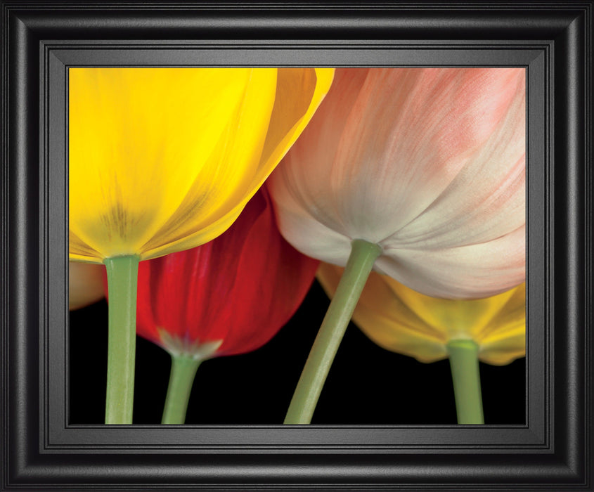 Sunshine Tulips By Frank, A. - Framed Print Wall Art - Yellow