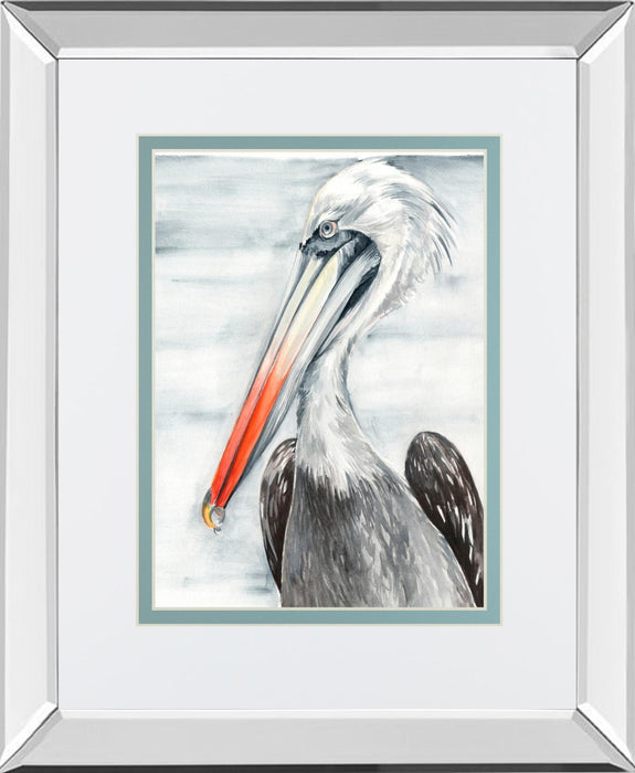 Grey Pelican II By Jennifer Paxton Parker - Dark Gray