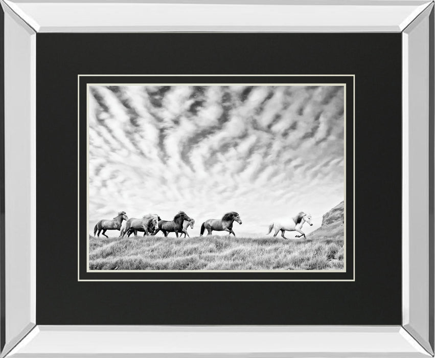Horse Run III By PHBurchett - Dark Gray
