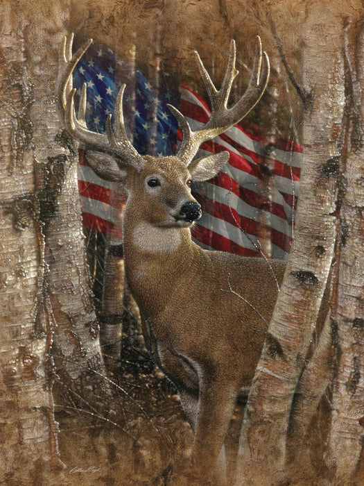 Whitetail Buck By Collin Bogle - Light Brown