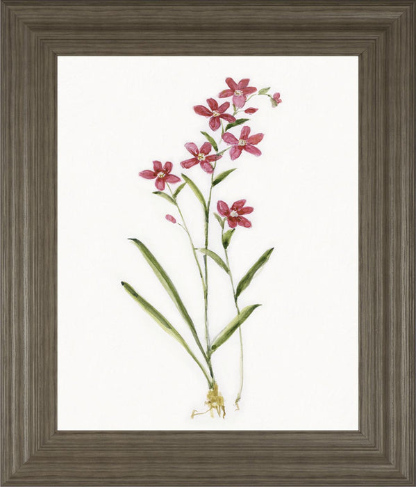 22x26 Delicate Pink I By Sally Swatland - Red