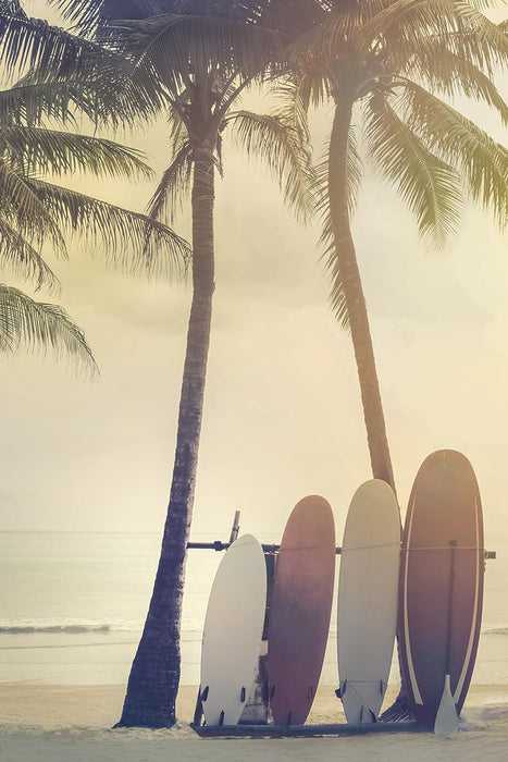 Surfing Summer By Mike Calascibetta (Framed) - Beige