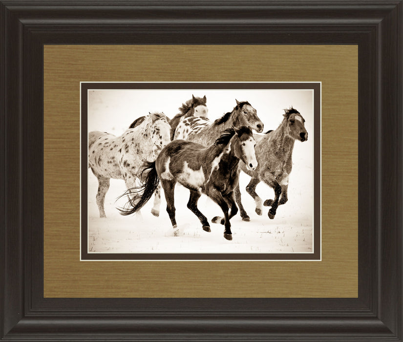 Painted Horses Run By Carol Walker - Framed Print Wall Art - Dark Brown