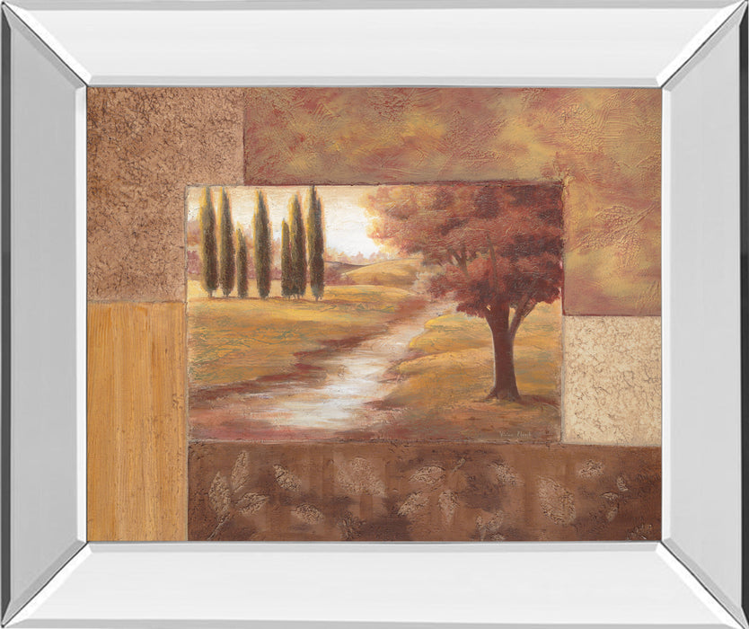 Peaceful Stream Il By Vivian Flasch - Mirror Framed Print Wall Art - Dark Brown