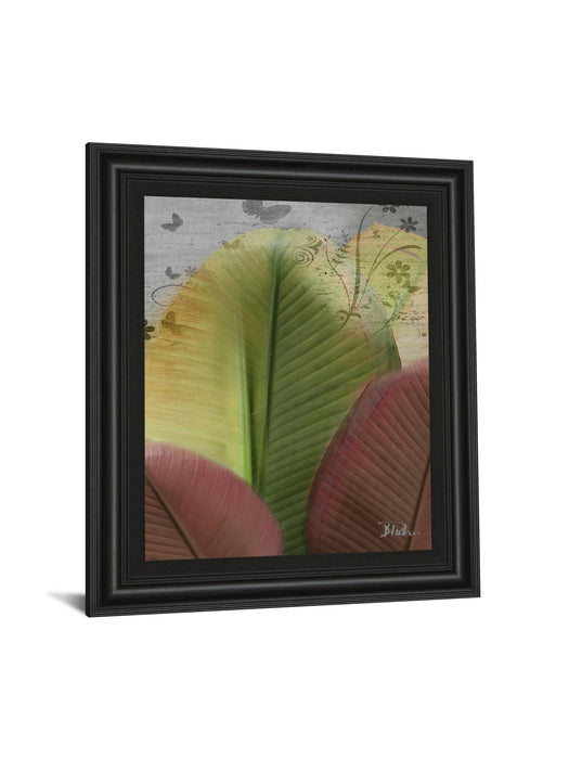 Butterfly Palm I By Patricia Pinto - Framed Print Wall Art - Green