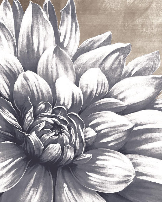 Framed - Charming Floral I By Dogwood Portfolio - Gray