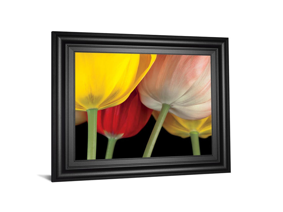 Sunshine Tulips By Frank, A. - Framed Print Wall Art - Yellow