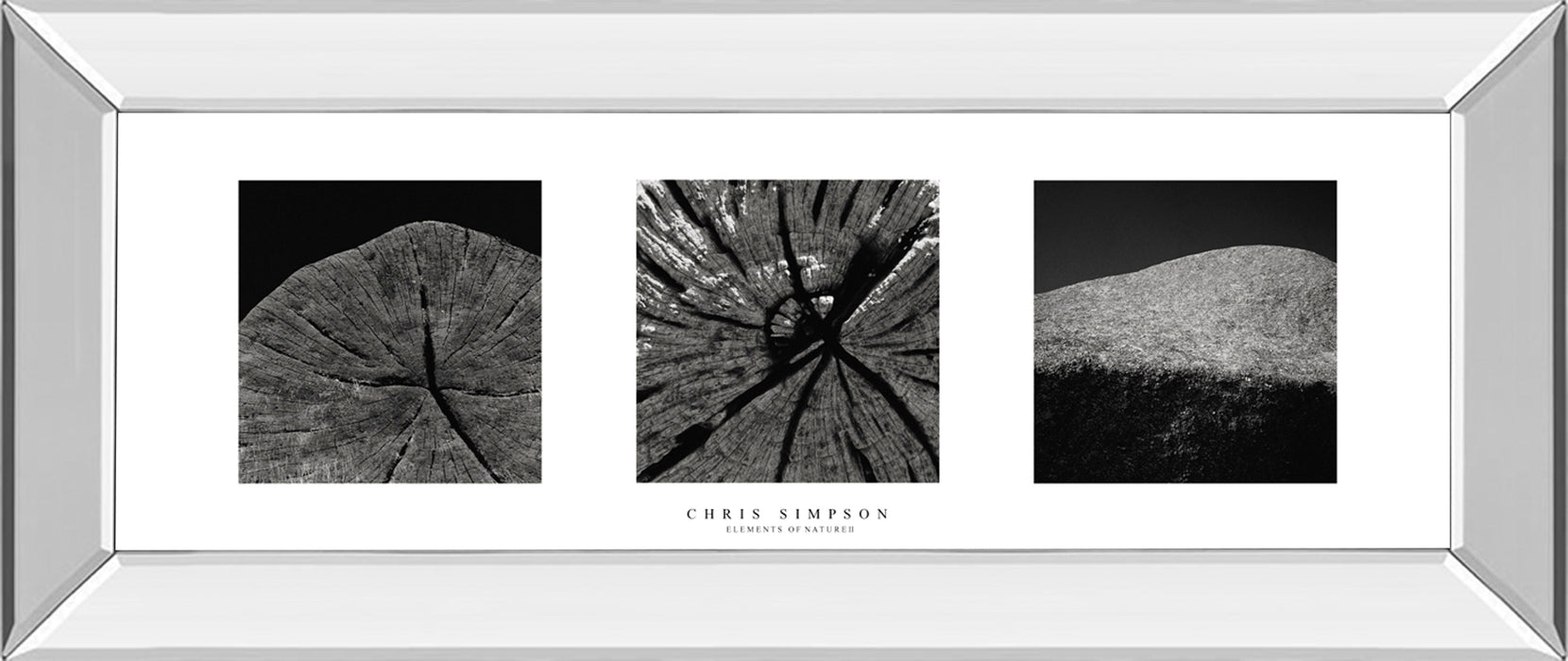 Elements Of Nature 2 By Chris Simpson - Mirror Framed Print Wall Art - Black