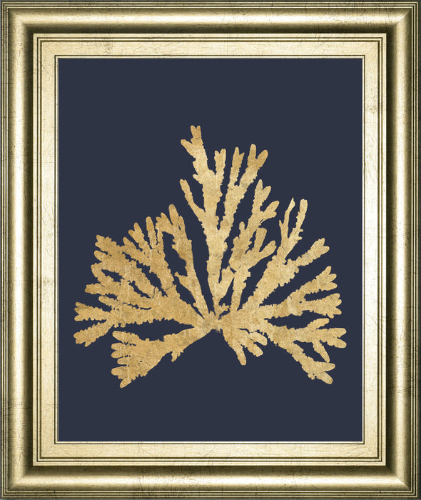 Pacific Sea Mosses IV Indigo By Wild Apple Portfolio - Framed Print Wall Art - Gold