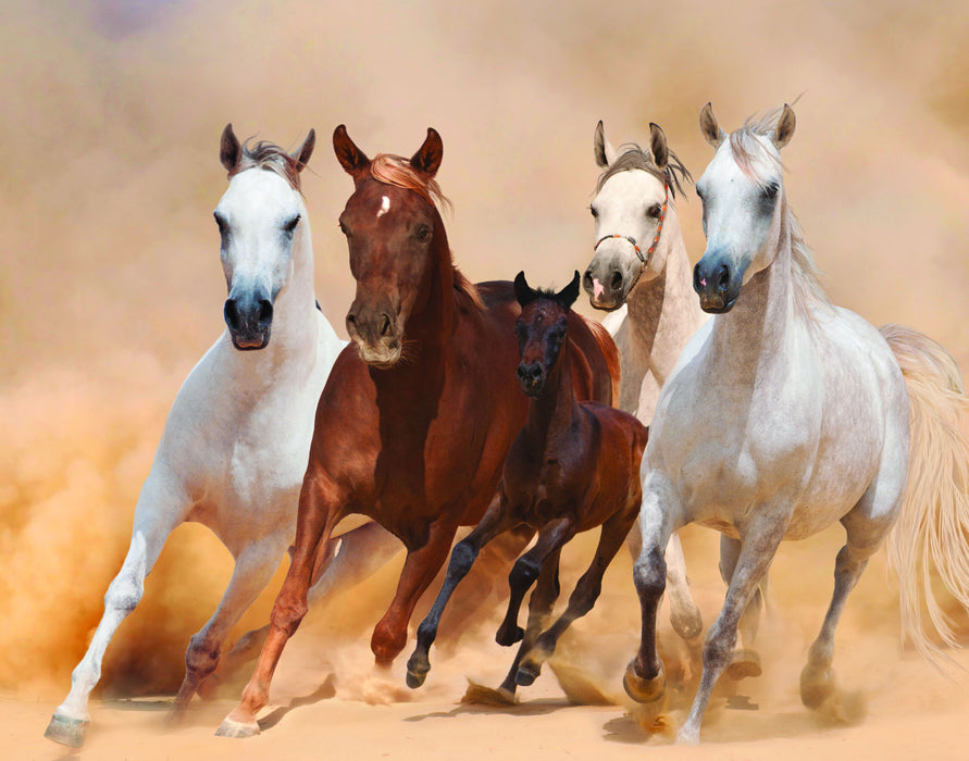 Small - Four Horses - Beige