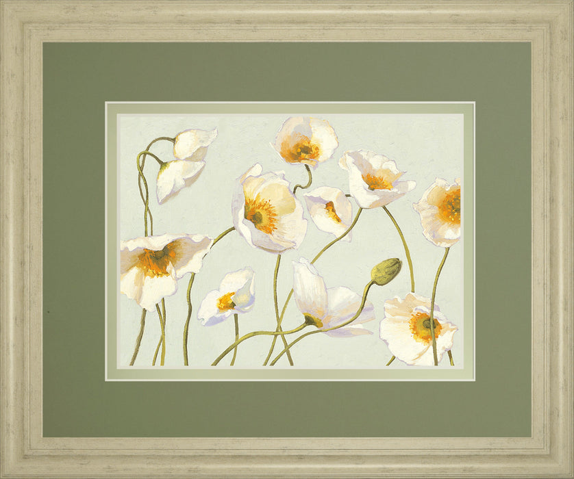 White Bright Poppies By Novak - Framed Print Wall Art - White