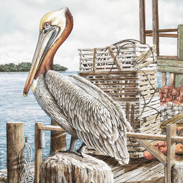 Majestic Pelican By James Harris (Framed) - Light Brown