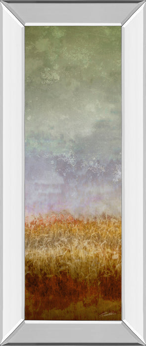 Lush Field Il By John Butler - Mirror Framed Print Wall Art - Dark Gray