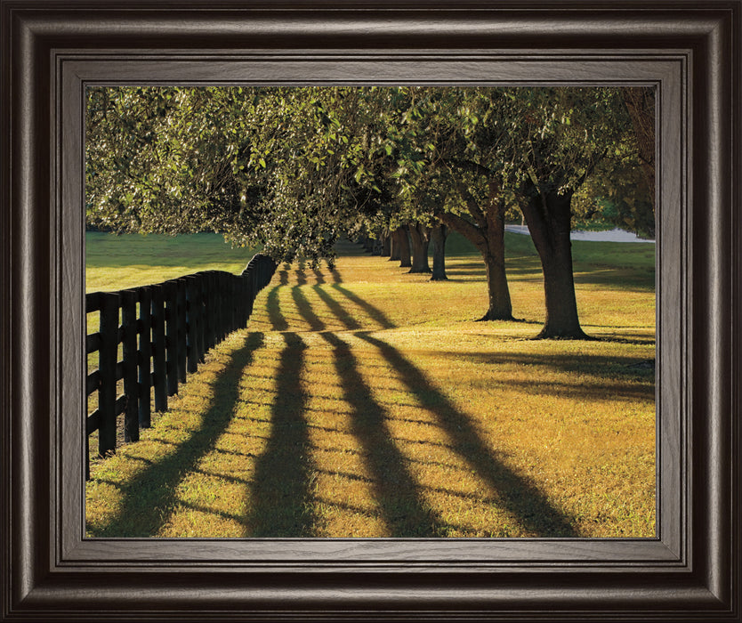 Chasing Shadows By Mike Jones - Framed Print Wall Art - Green