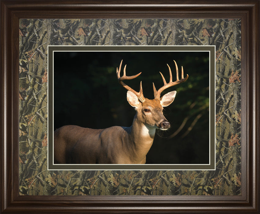 White Tail Buck By Tony Campbell Double Matted - Framed Print Wall Art - Black