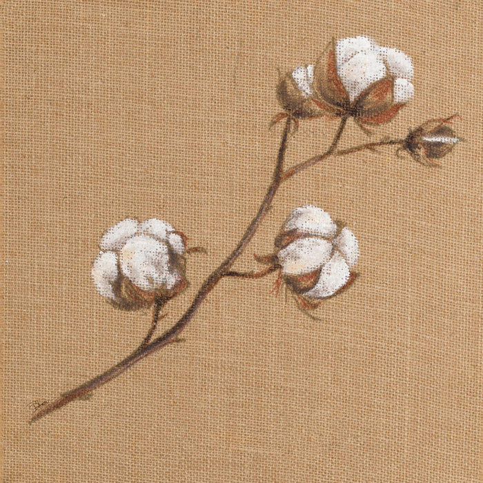 Cotton Branch I By Patricia Pinto (Framed) - Light Brown