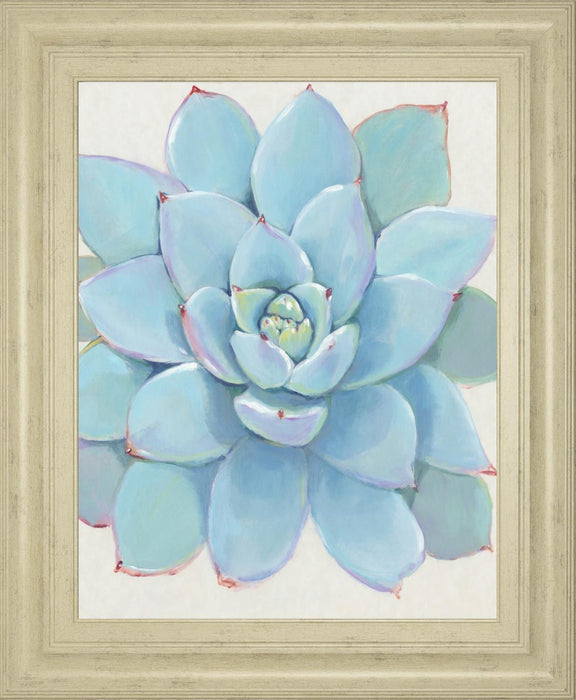 22x26 Pastel Succulent I By Tim OToole - Light Blue