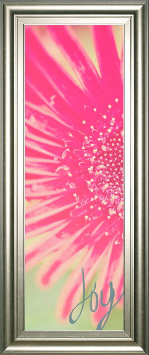 Joy Flower By Susan Bryant - Framed Print Wall Art - Pink