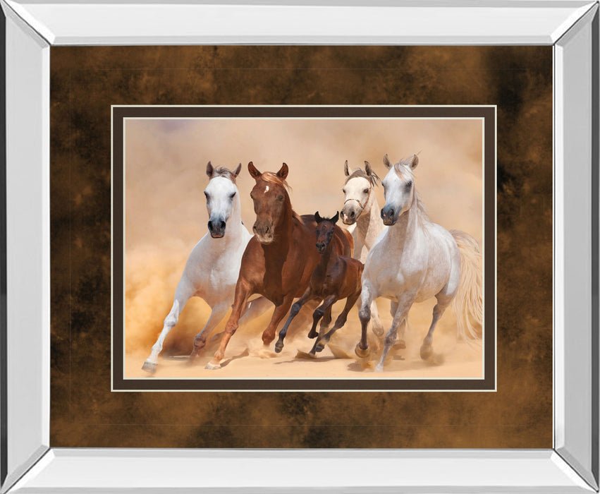 Horses In Dust By Loya_ya - Mirror Framed Print Wall Art - Dark Brown