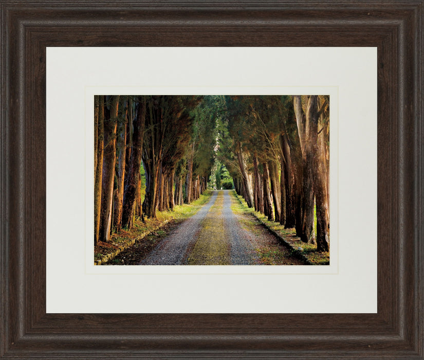 Tree Tunnel By Michael Tunnel And Mossy Oak Native Living - Framed Print Wall Art - Green