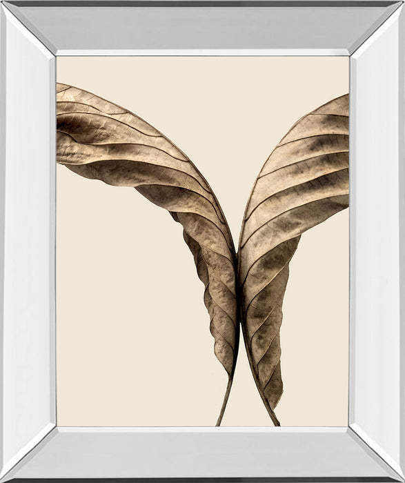 Turning Leaves Il By Jeff Friesen - Mirror Framed Print Wall Art - Dark Brown