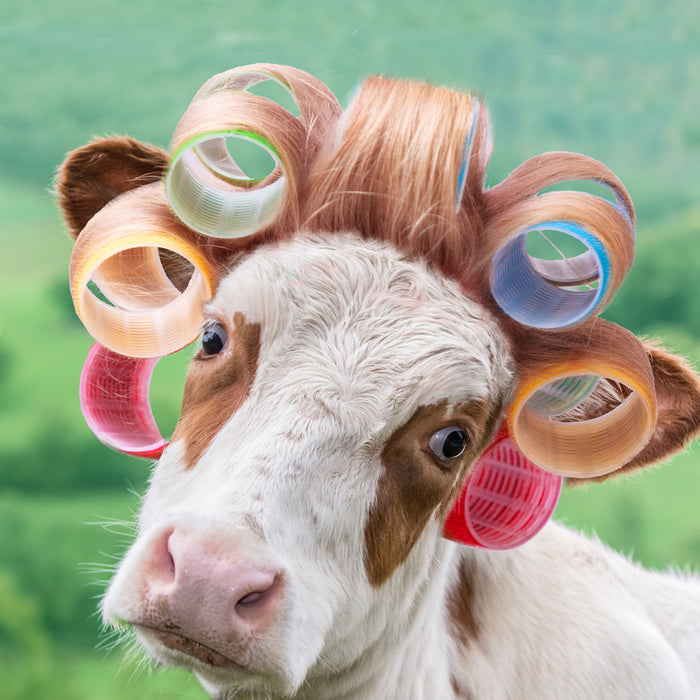 Cow In Curlers By A.V. Art - Green