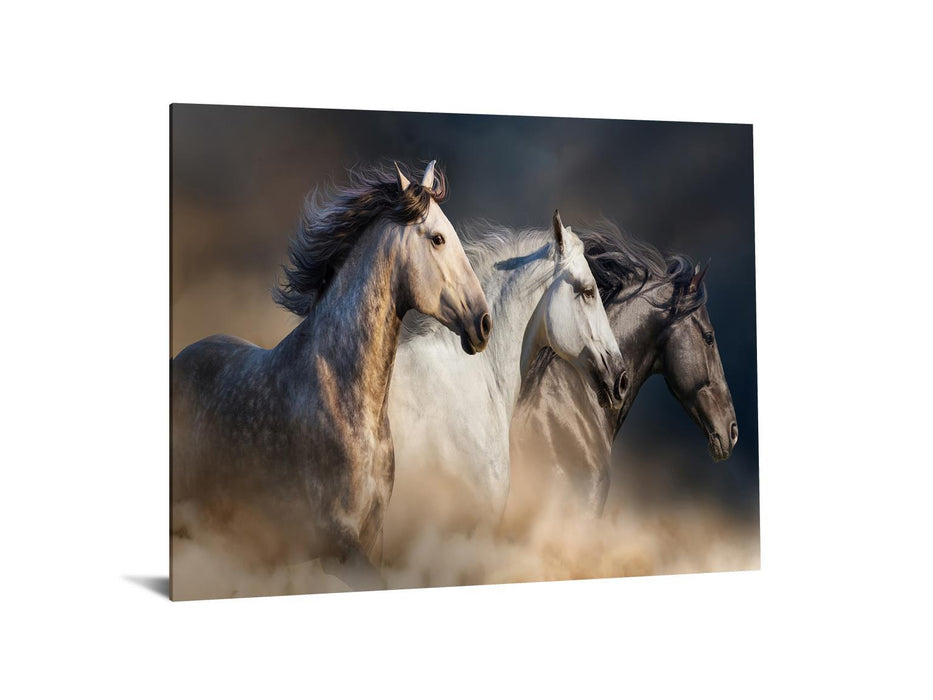 Temp Glass With Foil - 3 Horse - Dark Gray
