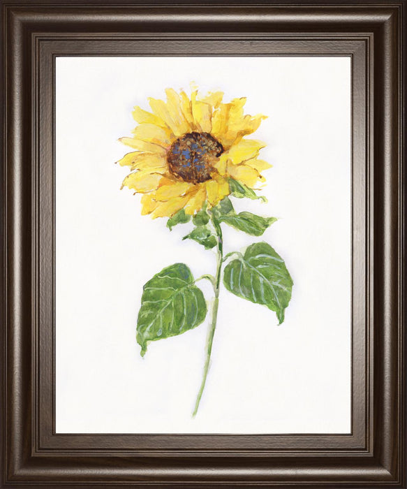 22x26 Sunflower II By Sally Swatland - Yellow