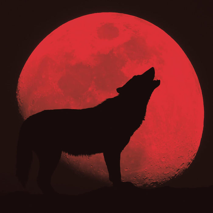 Red Wolf By Classy Art (Framed) - Red