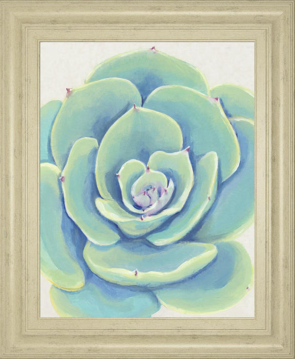 22x26 Pastel Succulent IV By Tim OToole - Light Blue