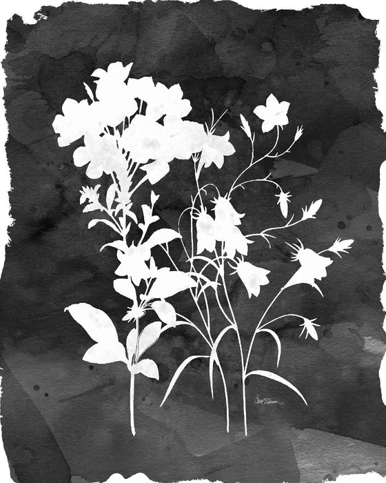 Framed - Black Botanical II By Carol Robinson - Dark Gray