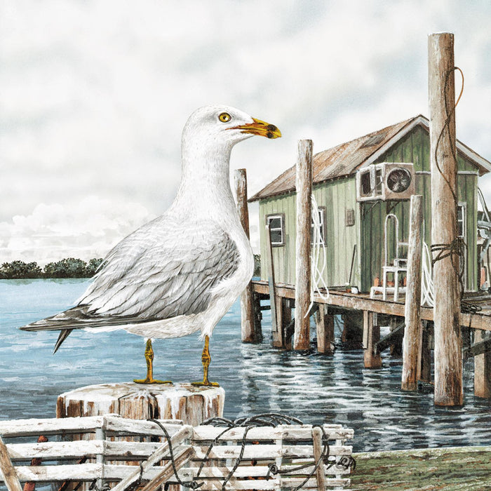 Majestic Seagull By James Harris (Framed) - Gray