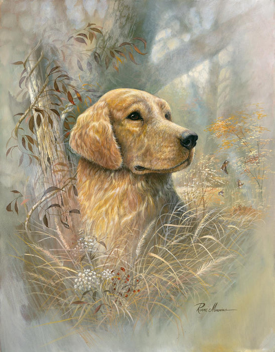Golden Beauty By Ruane Manning - Gold