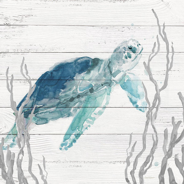 Aqua Turtle I By Carol Robinson (Framed) (Small) - Light Blue
