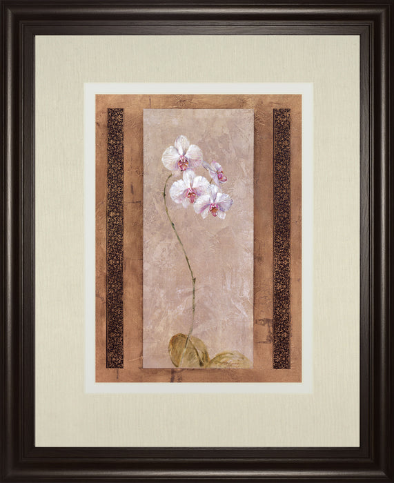 Contemporary Orchid I By Carney - Framed Print Wall Art - Pink