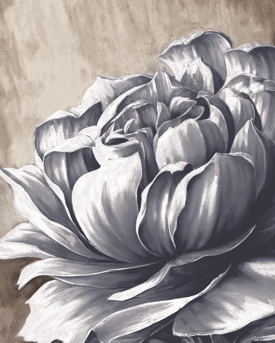 Framed - Charming Floral II By Dogwood Portfolio - Gray