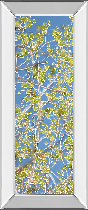 Spring Poplars I By Sharon Chandler - Mirror Framed Print Wall Art - Green