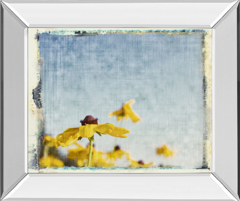 Blackeyed Susan's I By Meghan Mc Sweeney - Mirror Framed Print Wall Art - Yellow