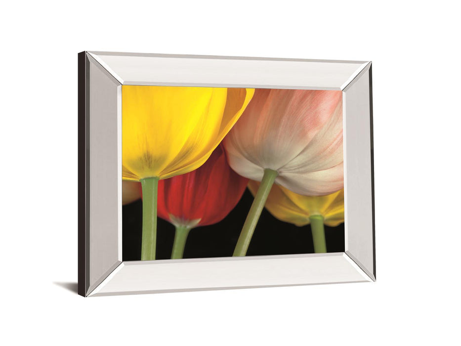 Sunshine Tulips By Frank, A. - Mirror Framed Print Wall Art - Yellow